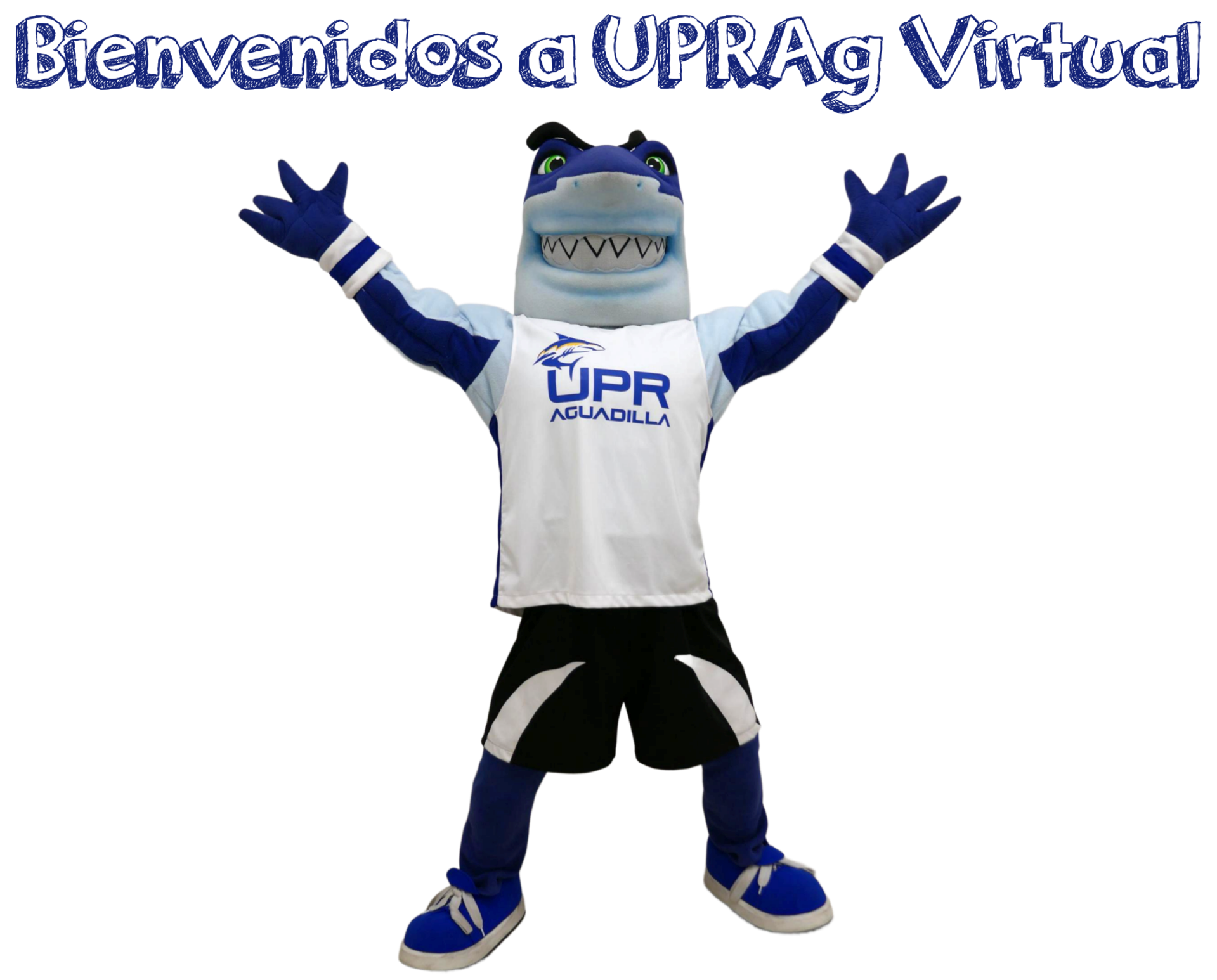 Bienvenidos a UPRAg Virtual